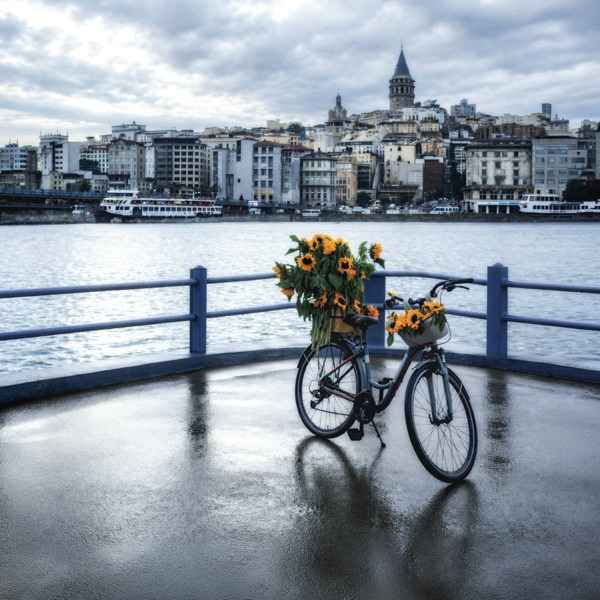 Yine seni severdim