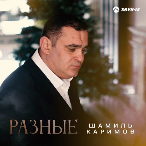 Шамиль Каримов – Разные