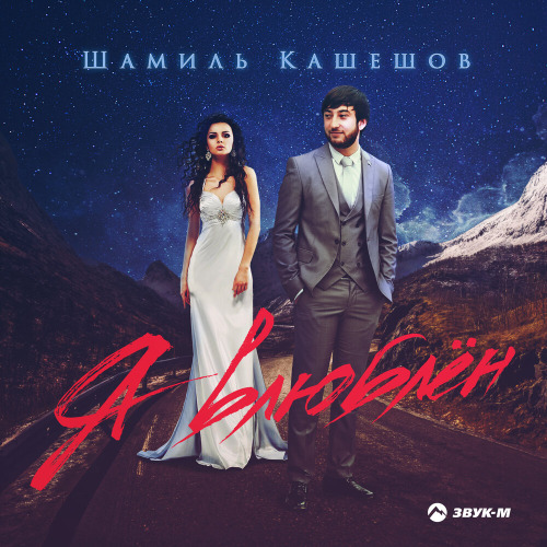 Шамиль Кашешов – Снег летит как птичья стая