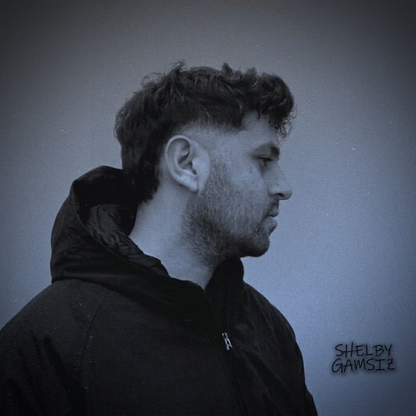 Shelby – Gamsız