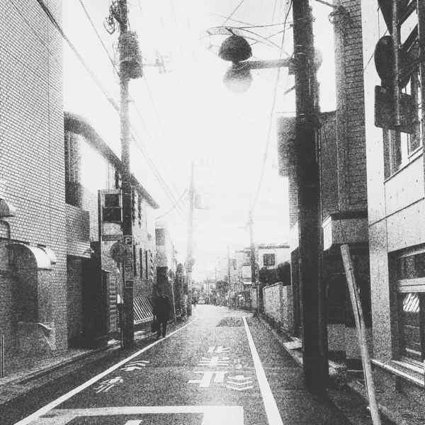 Sltr – Flora