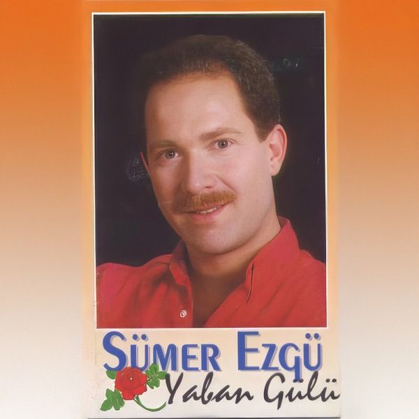 Sümer Ezgü – Yaban Gülü (Cover Remix)