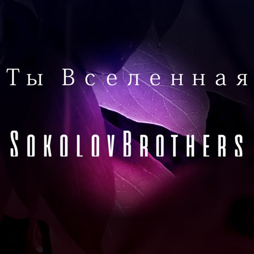 SokolovBrothers – За Тобой Бог