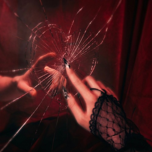 Стрелиция – отражение