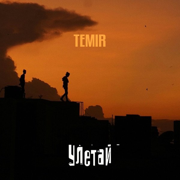 TEMIR – Улетай