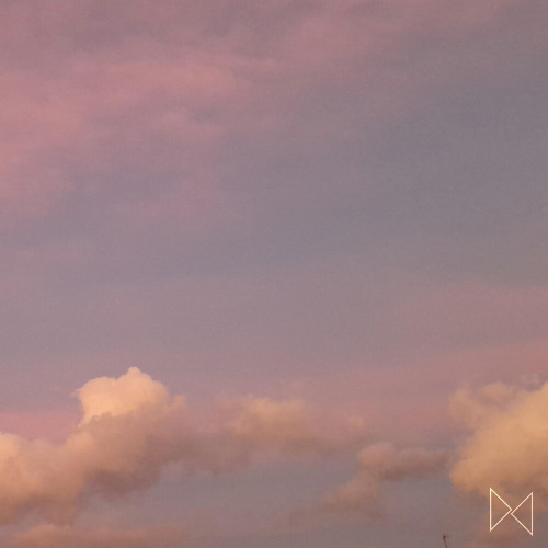 Tollan Kim – Aesthetic