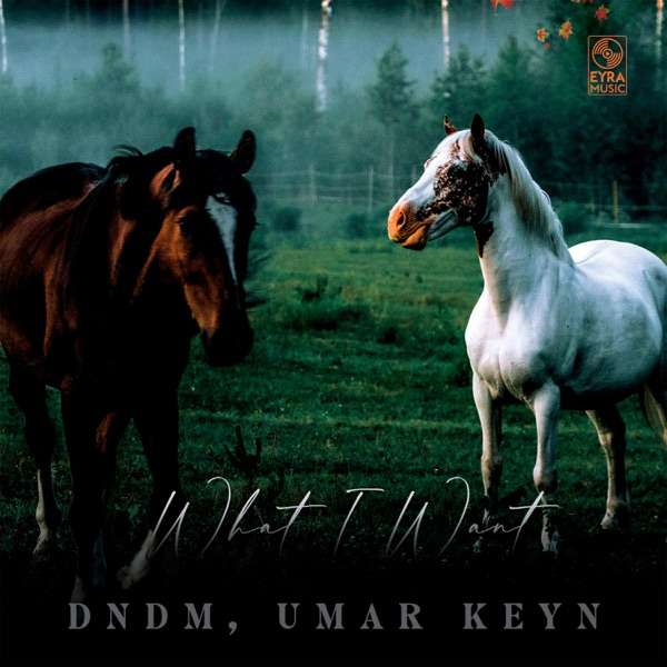 Umar Keyn – Back like I never left