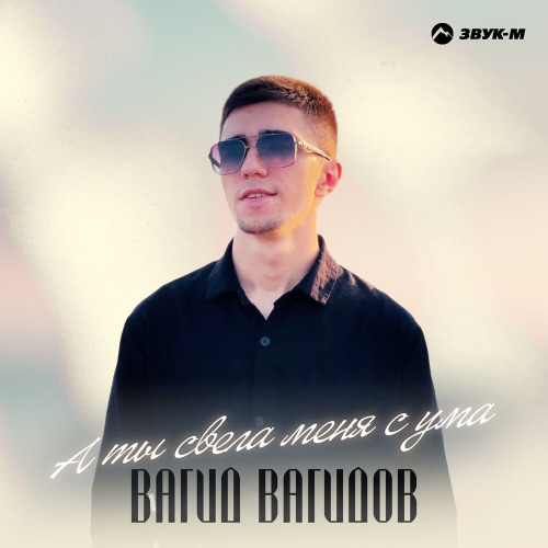 Вагид Вагидов – Свела меня с ума