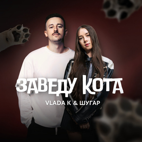Заведу кота