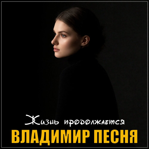 Владимир Песня – Жизнь продолжается