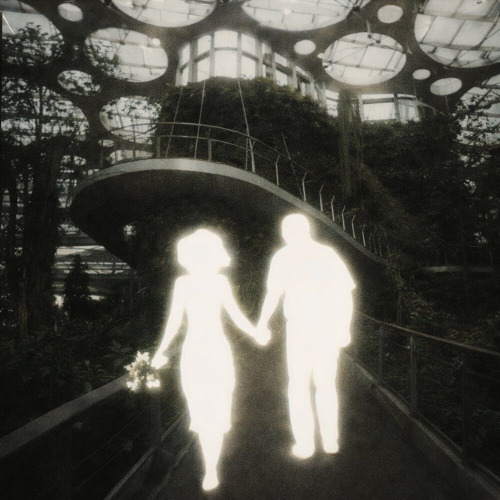 янглун – u look like