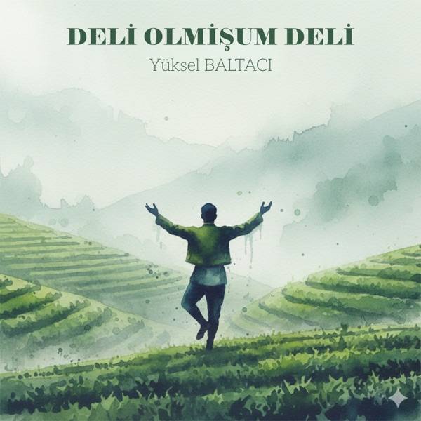 Yüksel Baltacı – Deli olmişum deli