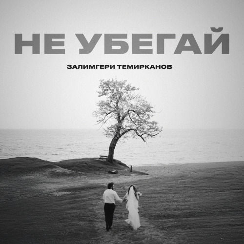 Залимгери Темирканов – Не убегай