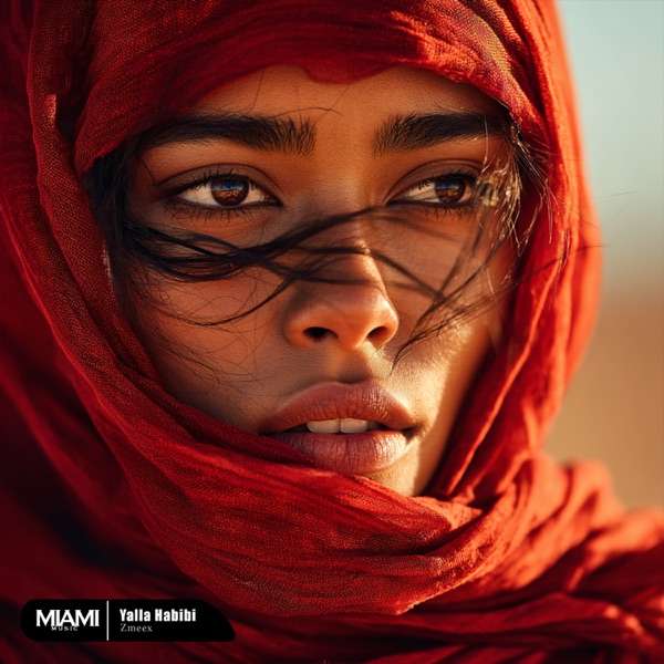 Zmeex – Yalla habibi (Original Mix)