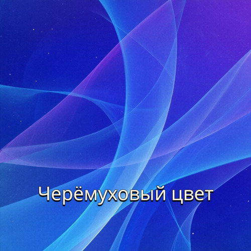 Золотинка, Бесконечность – Черёмуховый Цвет