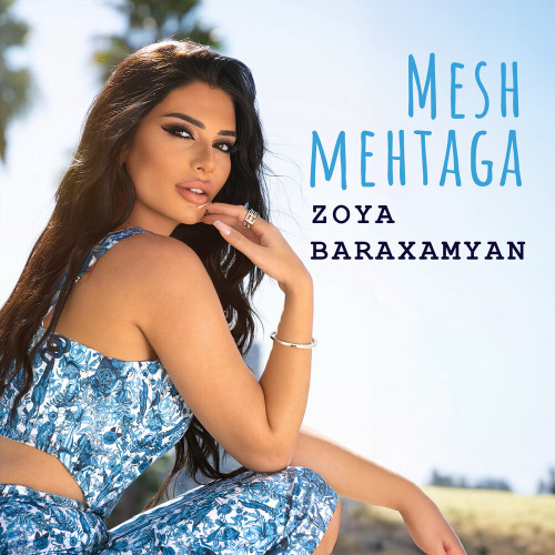 Mesh Mehtaga